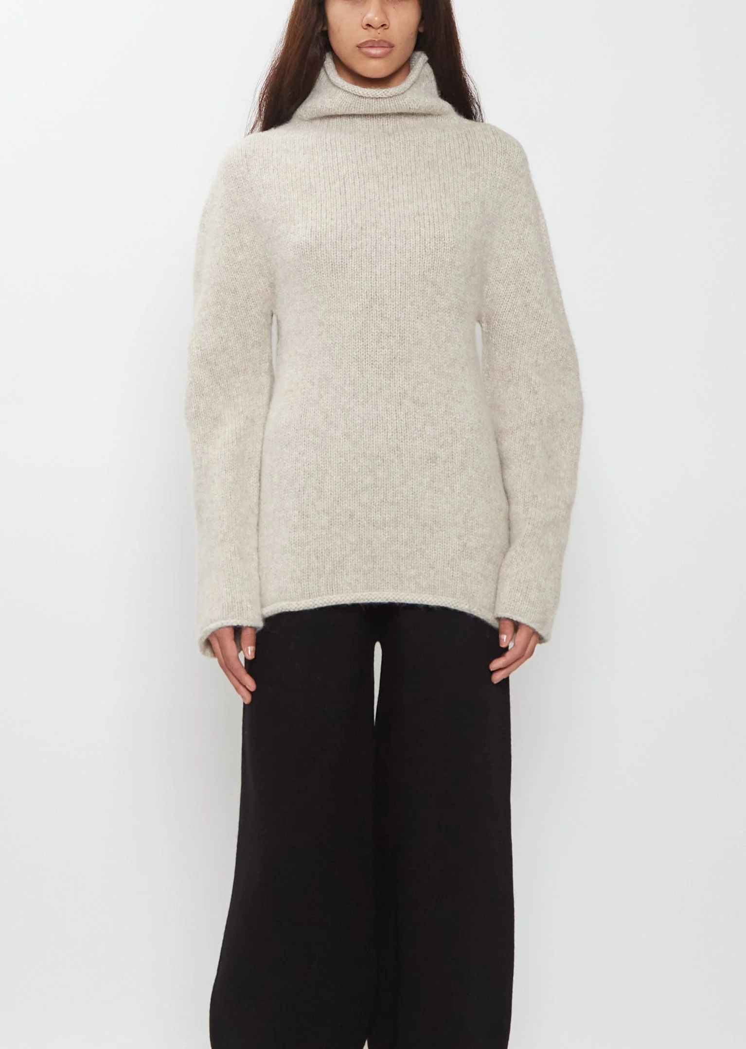 Alpaca Bottle Turtleneck - 1