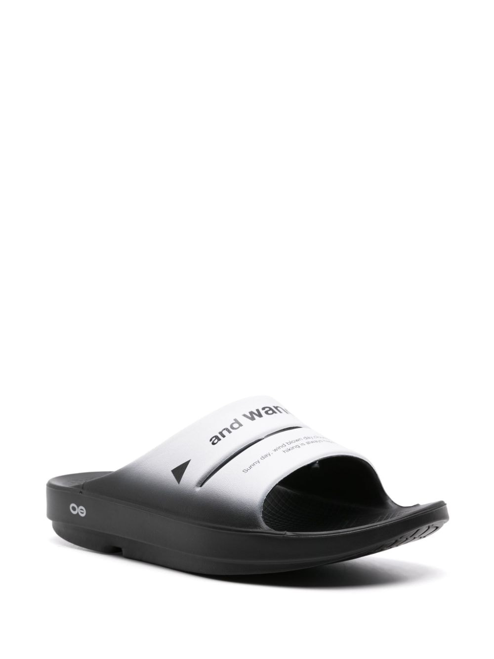 Ooahh logo-print slides - 2