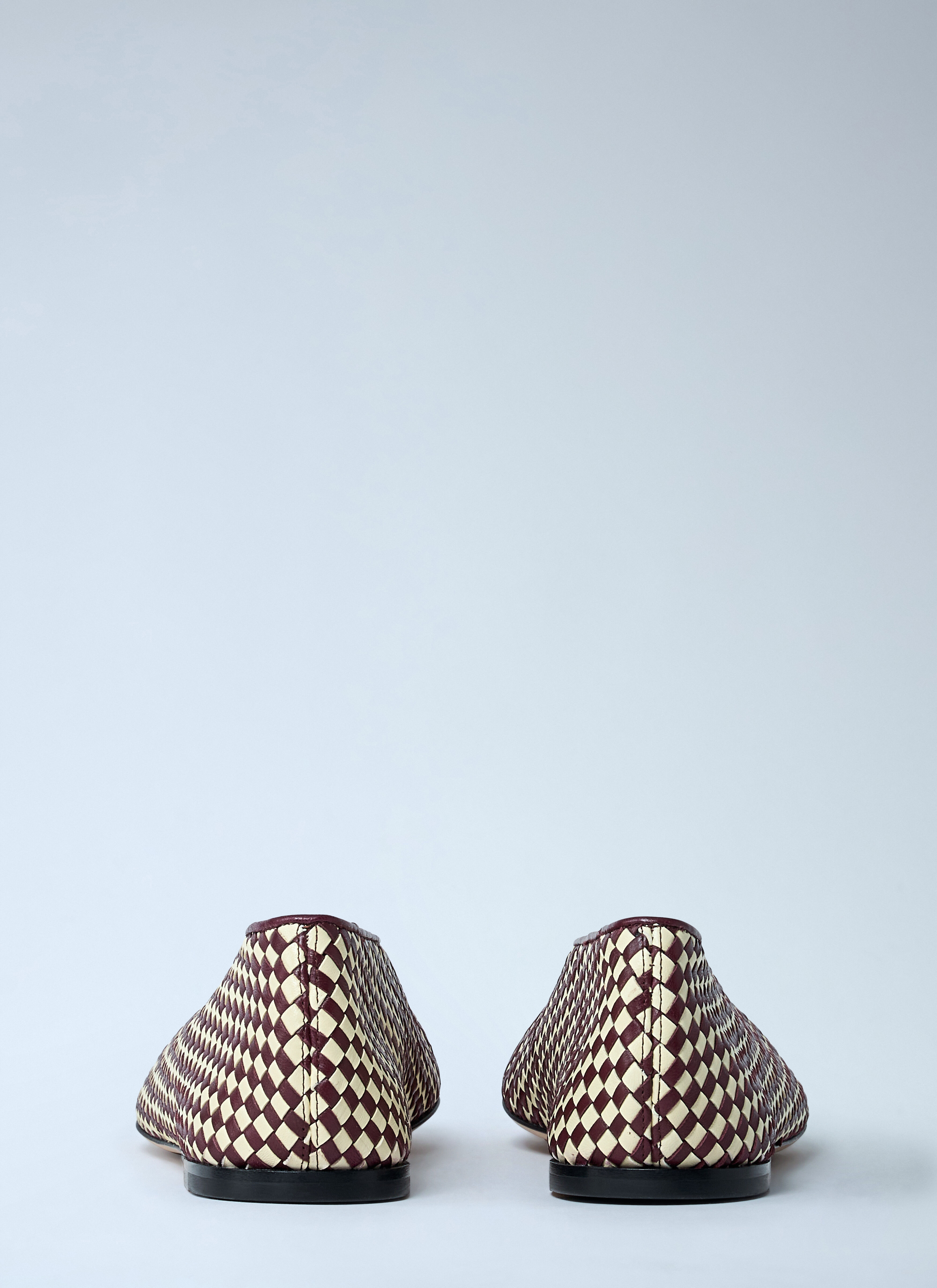 Rosa Ballerina Flats - 5