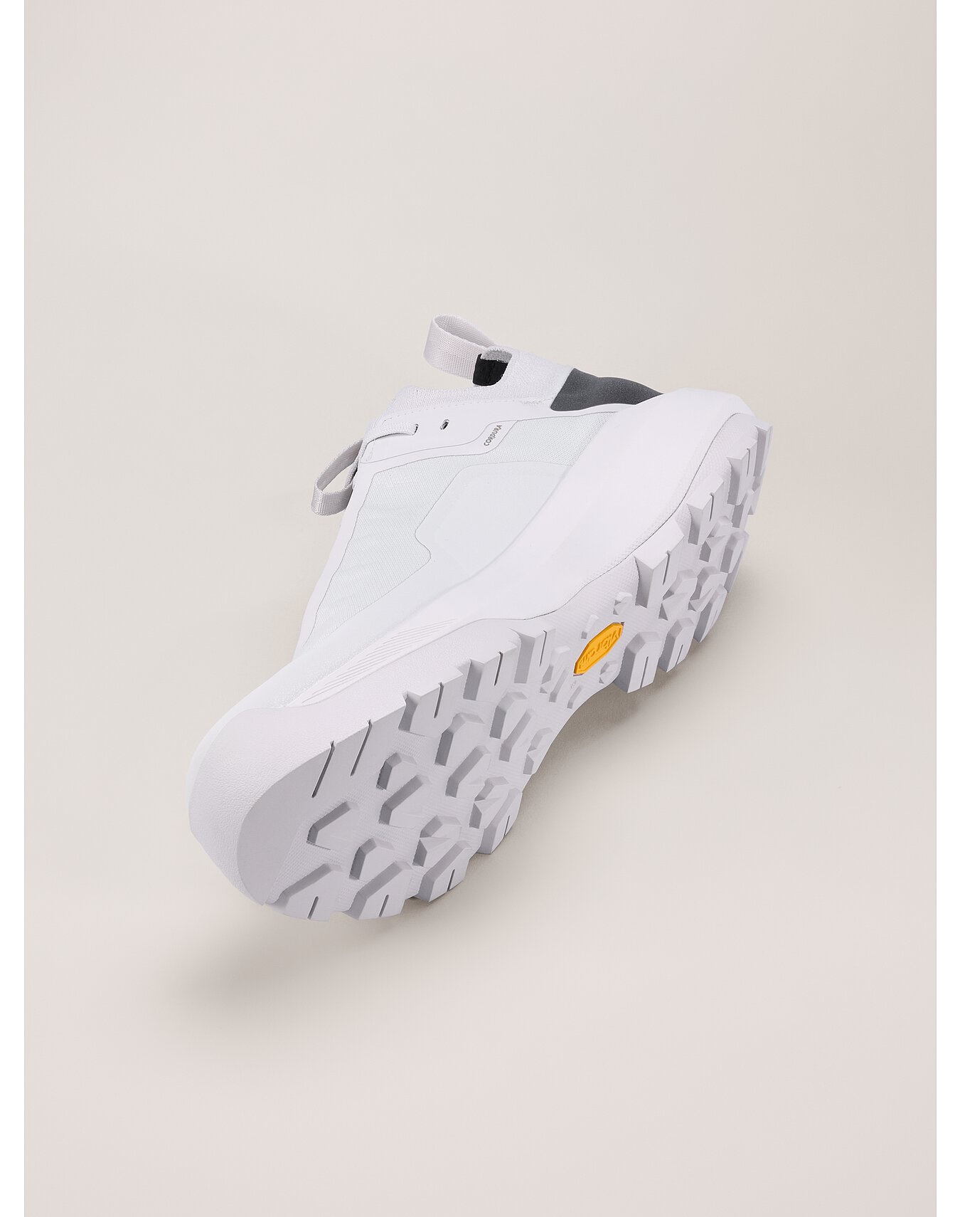 Vertex Alpine GTX Shoe - 5