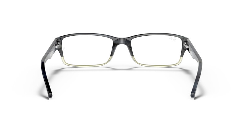 RB5169 OPTICS 6