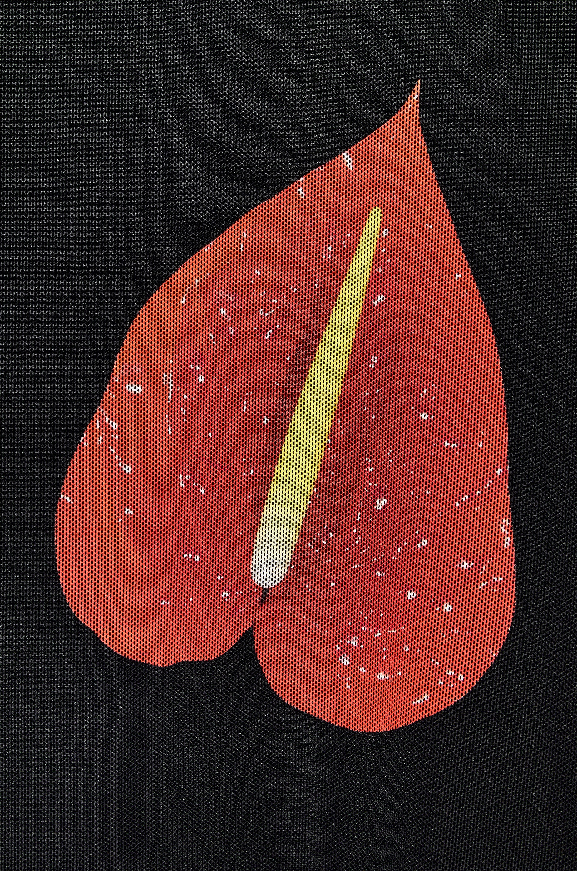Anthurium top in semi sheer mesh - 3
