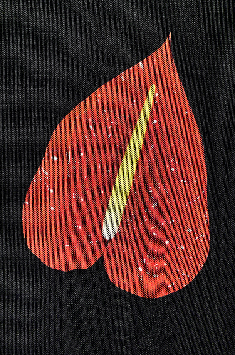 Anthurium top in semi sheer mesh 3