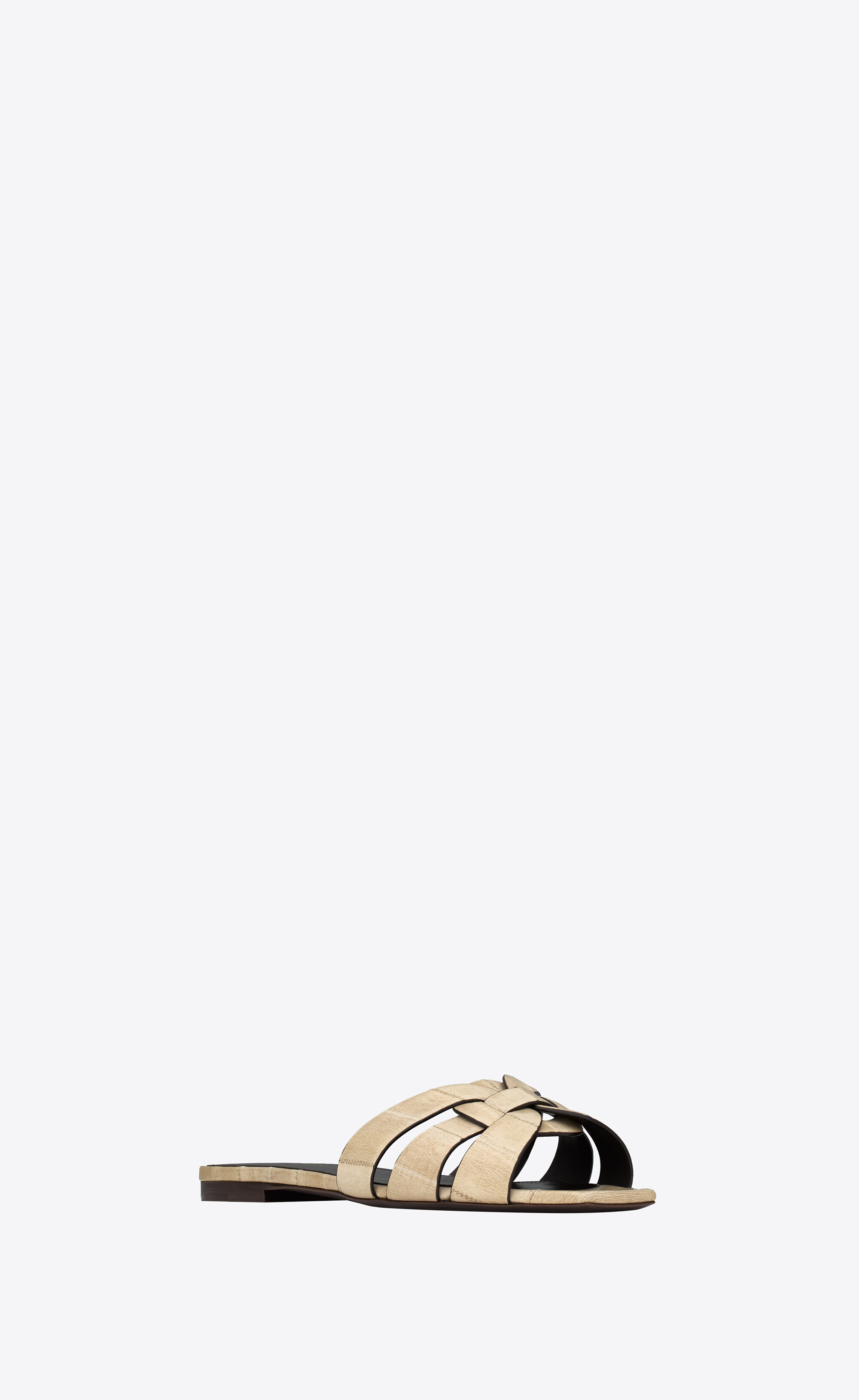 tribute mules in eel - 3