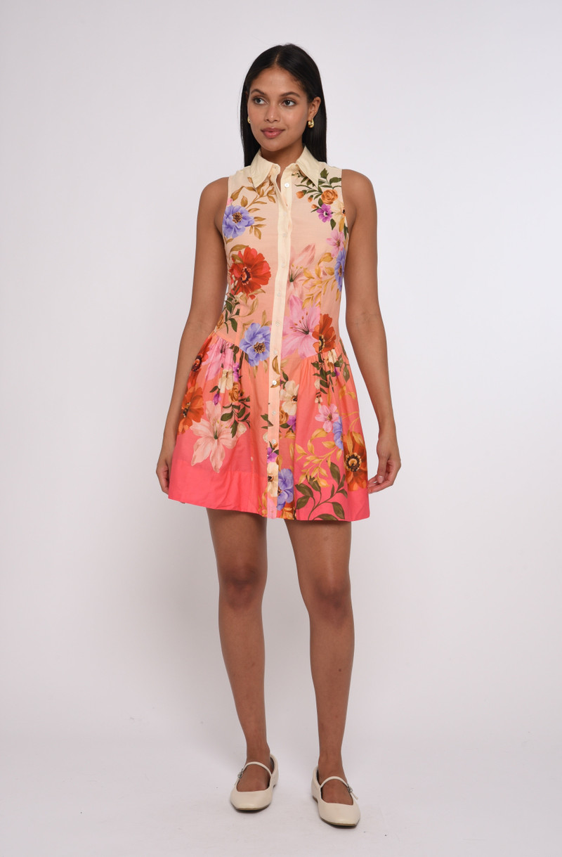 Sierra Mini Dress 6