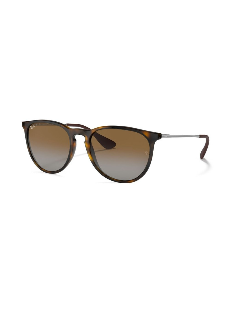 Ray-Ban Erika sunglasses outlook