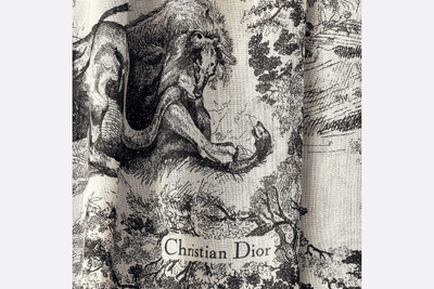 Dior Toile de Jouy Stole outlook