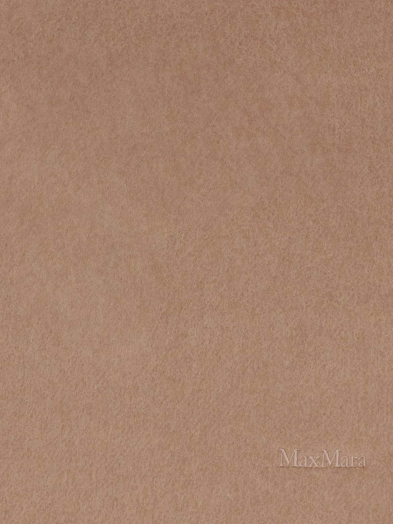 Max Mara Scilli fringed scarf outlook