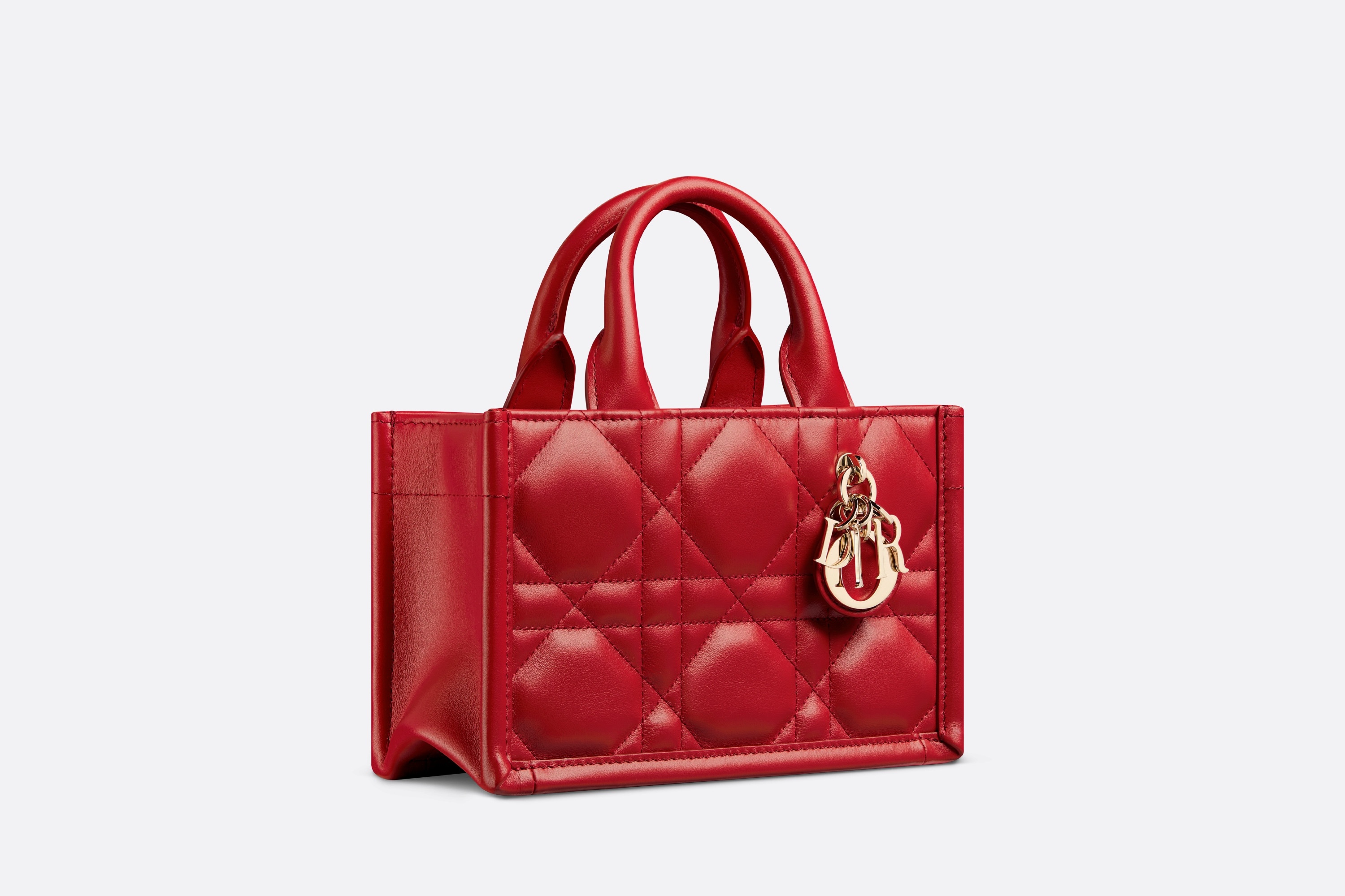 Dioramour Mini Dior Book Tote - 2