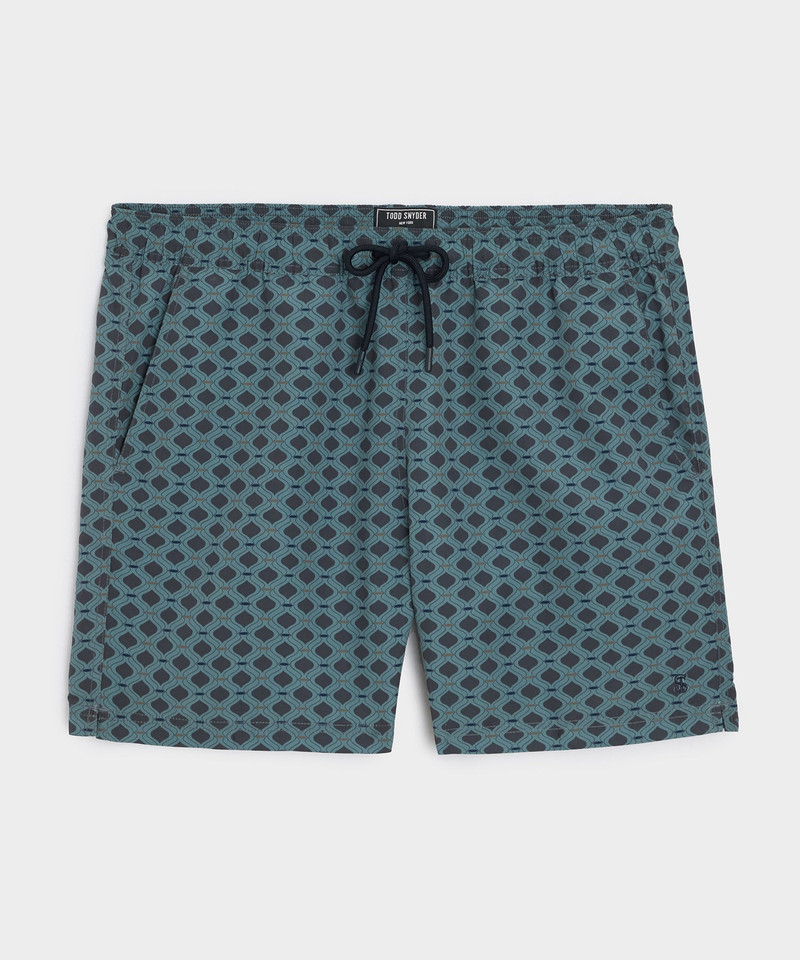 5" Montauk Swim Trunk 1