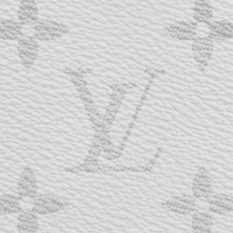 Louis Vuitton Iphone 11 Pro Bumper outlook