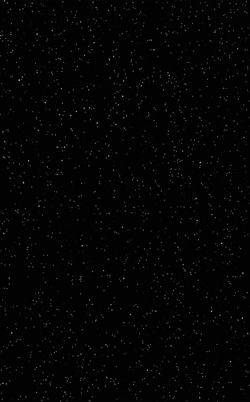 THE LITTLE ANARCHY SKIRT 4