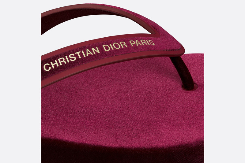 Diorsea Thong Sandal 5