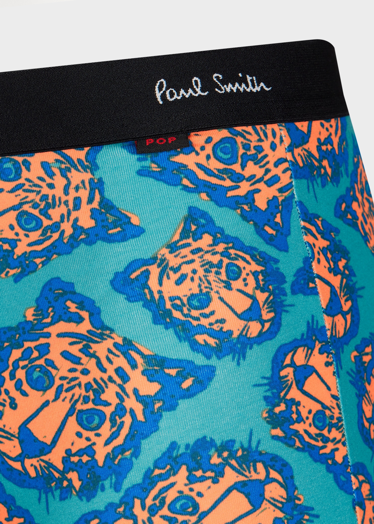 Blue 'Tiger' Print Boxer Briefs - 3