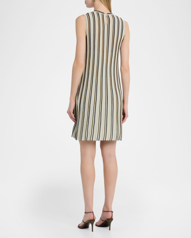Victoria Stripe Crewneck Mini Dress 3
