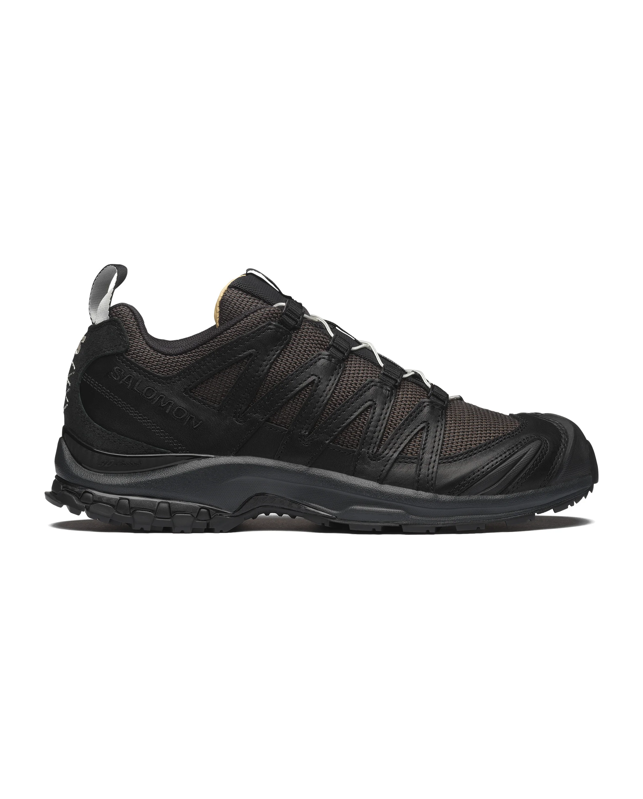 XA PRO 3D ALPINE ECHOES - 1