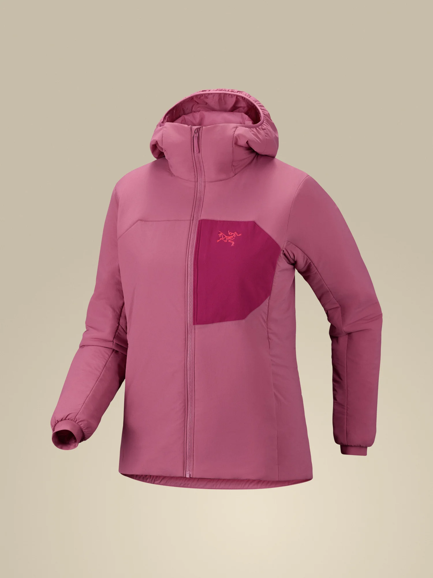 Proton Hoody - 1