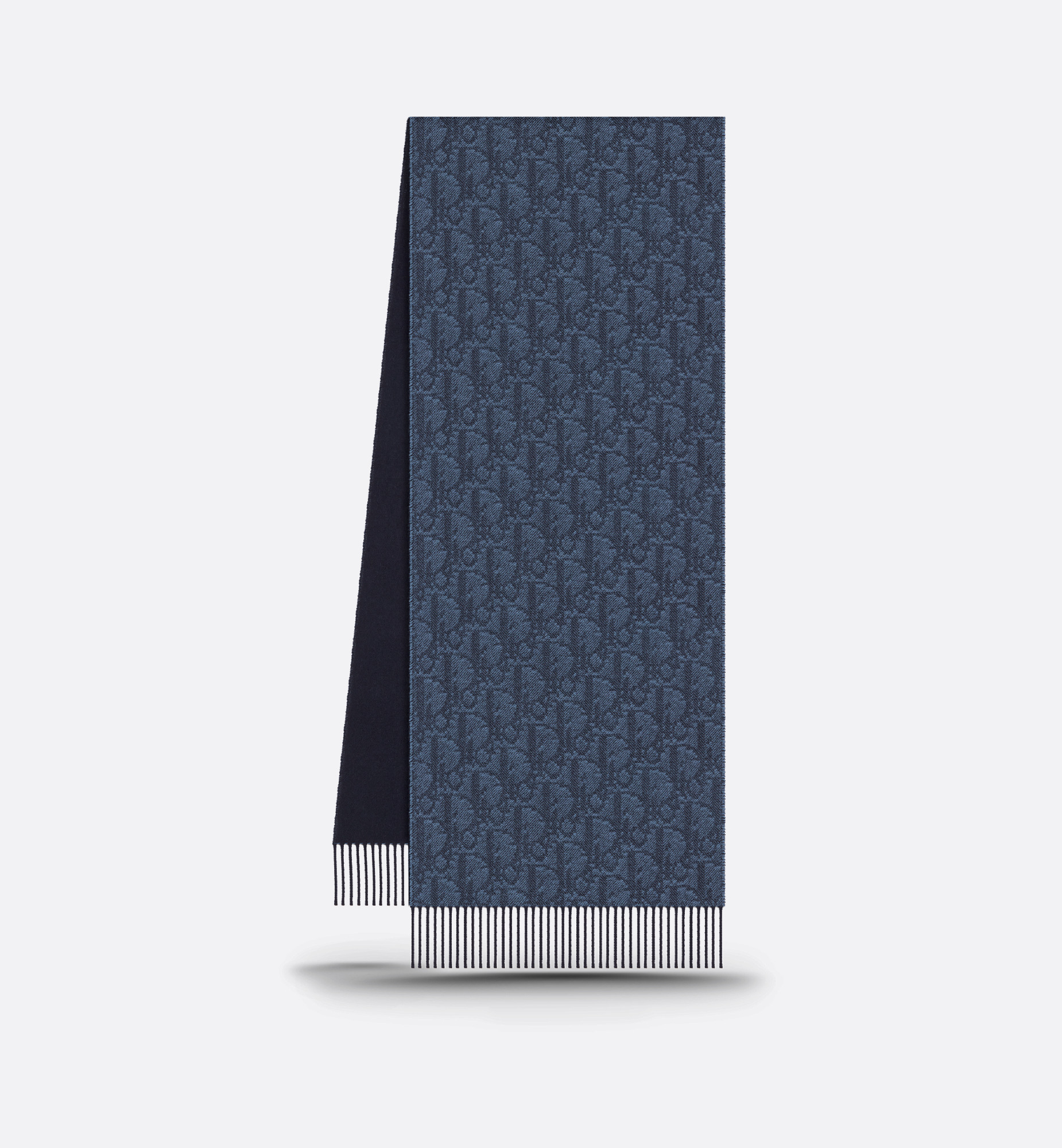 Dior Oblique Double-Sided Scarf - 6