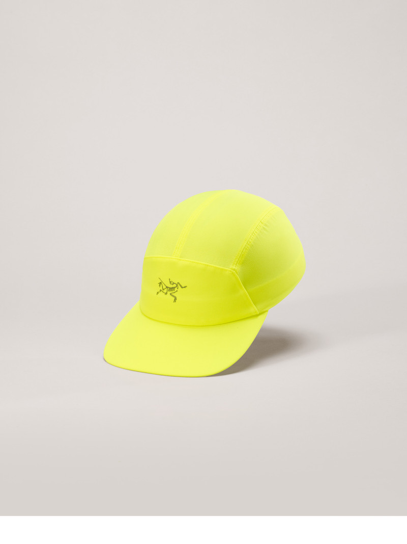 Gamma 5 Panel Cap 1