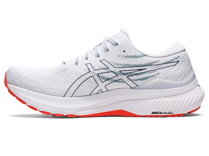 Asics GEL-KAYANO 29 outlook