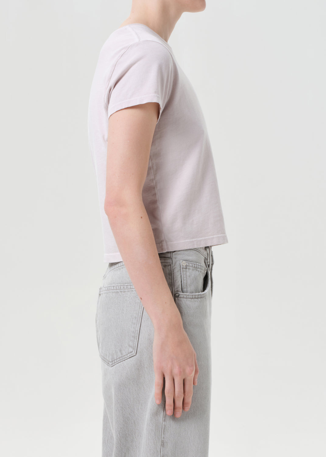 ADINE SHRUNKEN TEE IN ROSEWATER - 4