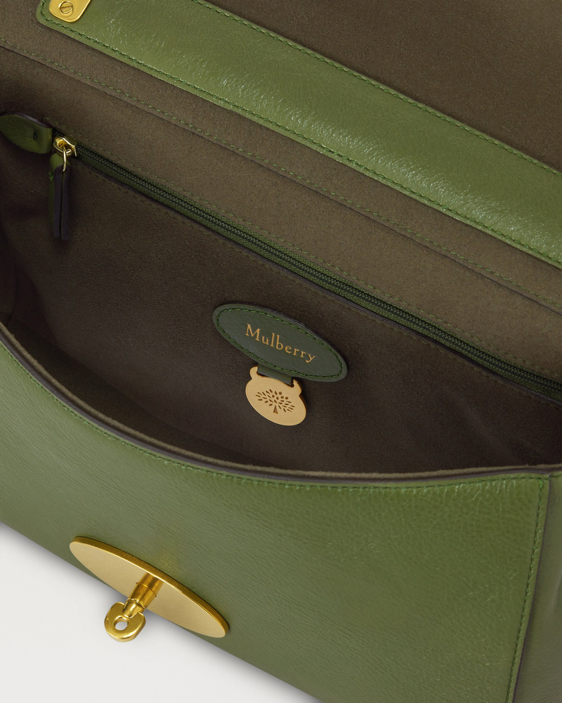 Medium Lily Fern High Shine Leather 5