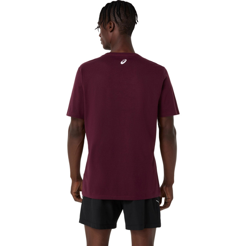 Asics ASICS STRIPE SHORT SLEEVE TEE outlook