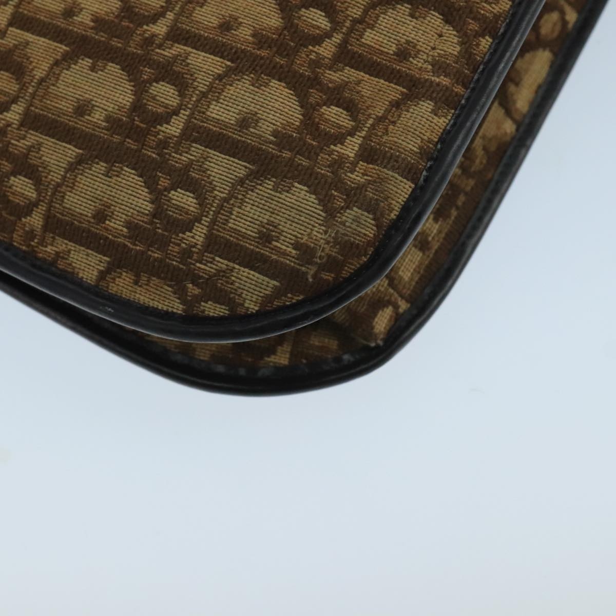 DIOR Trotter Canvas Hand Bag Brown - 14