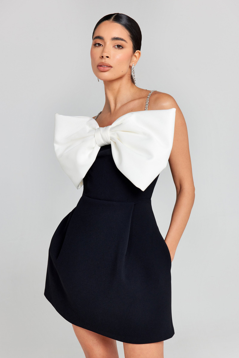 Jenny Bow Dress 3