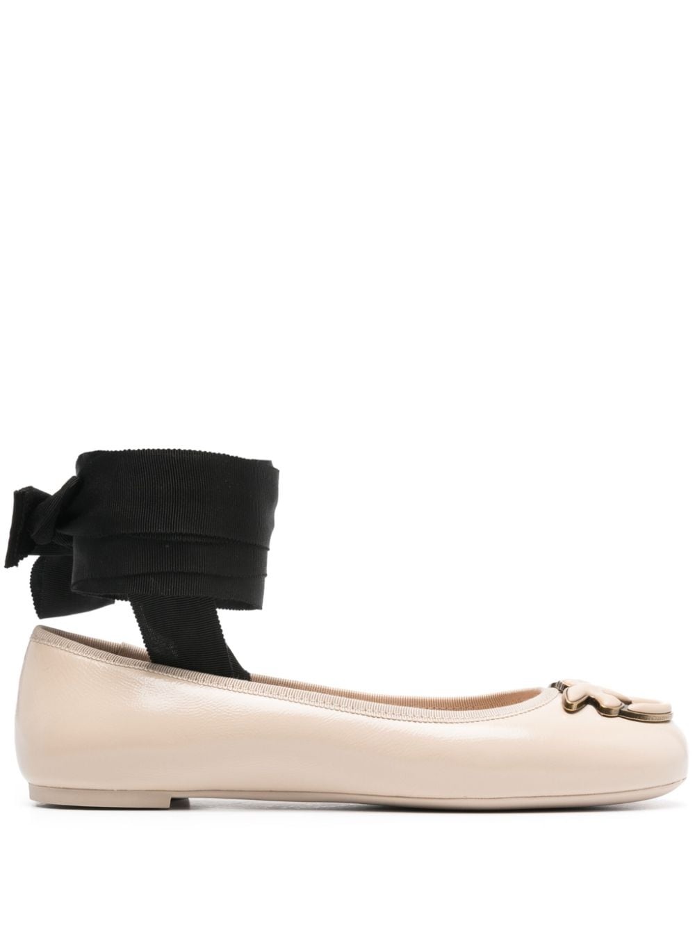 Love Birds ballerina shoes - 1
