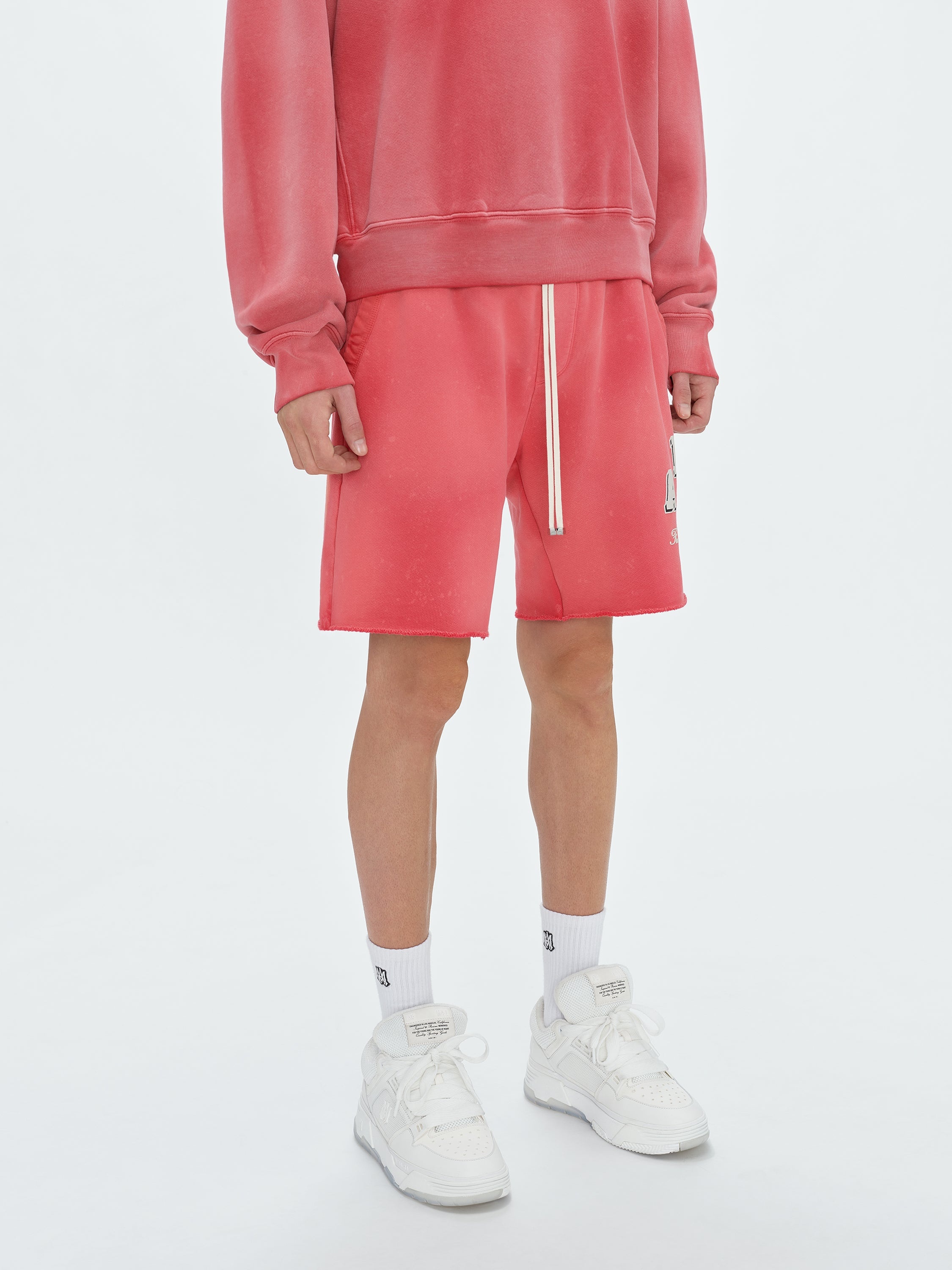 VINTAGE COLLEGIATE SHORTS - 3