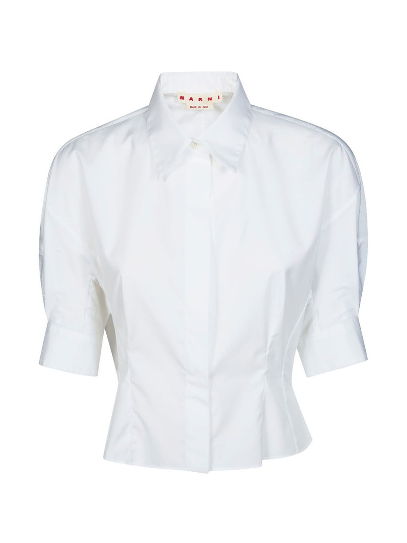 cropped shirt 1