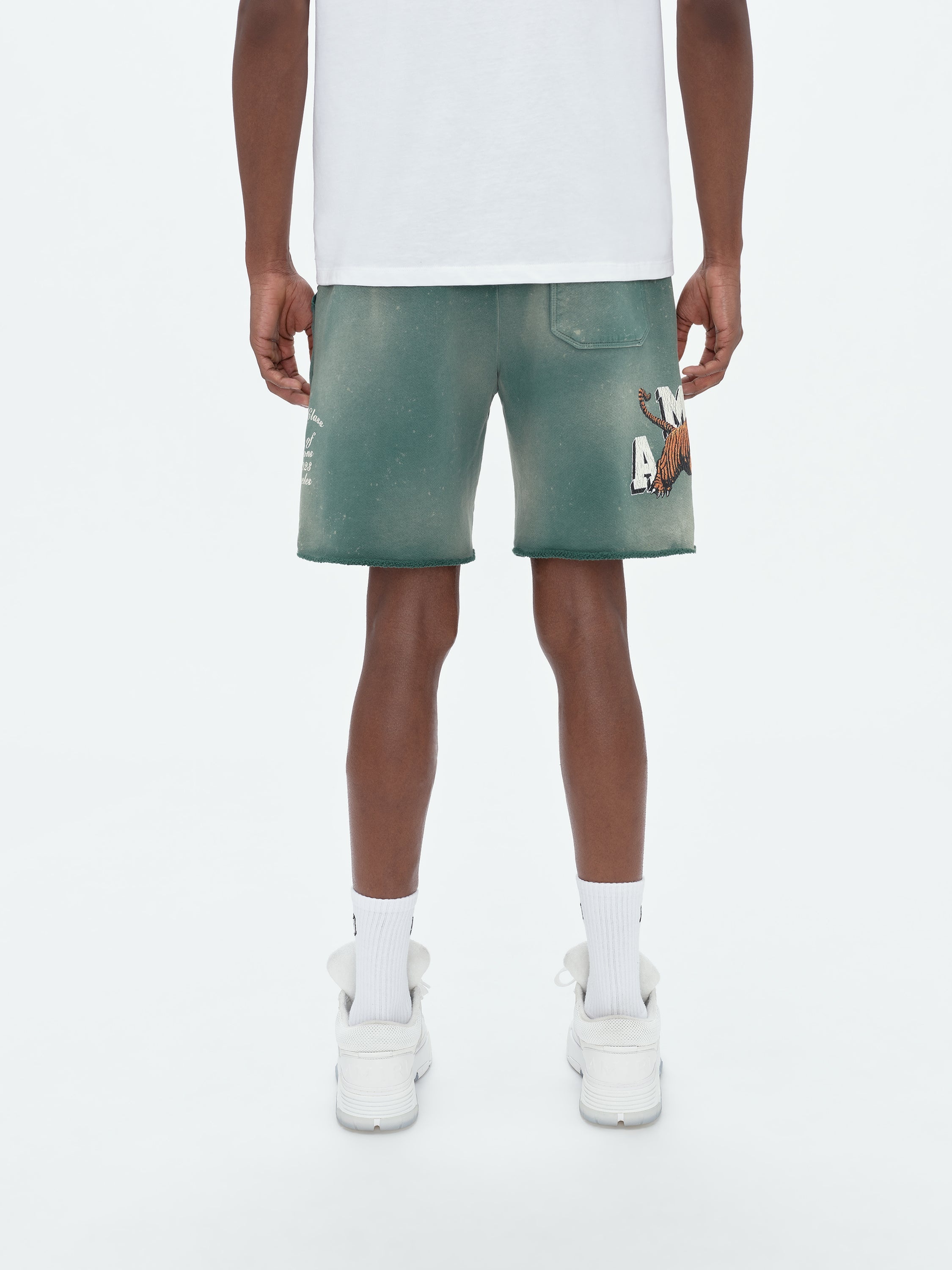 VINTAGE TIGER SWEATSHORT - 5