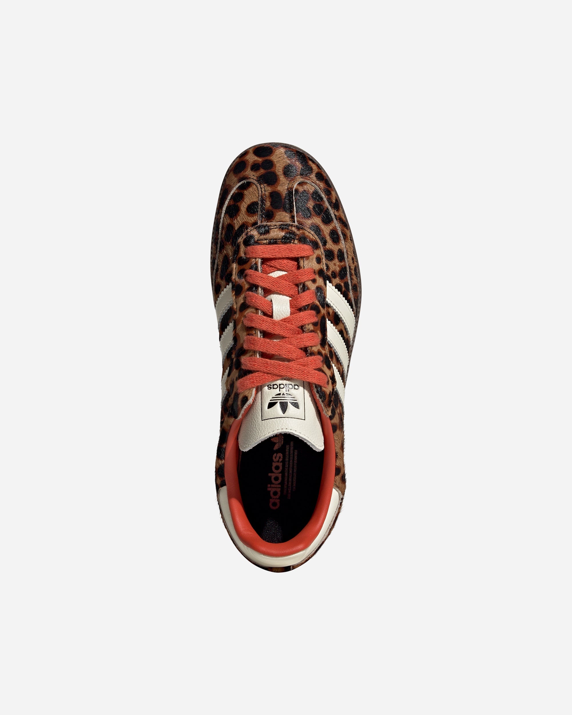 Samba OG - 4