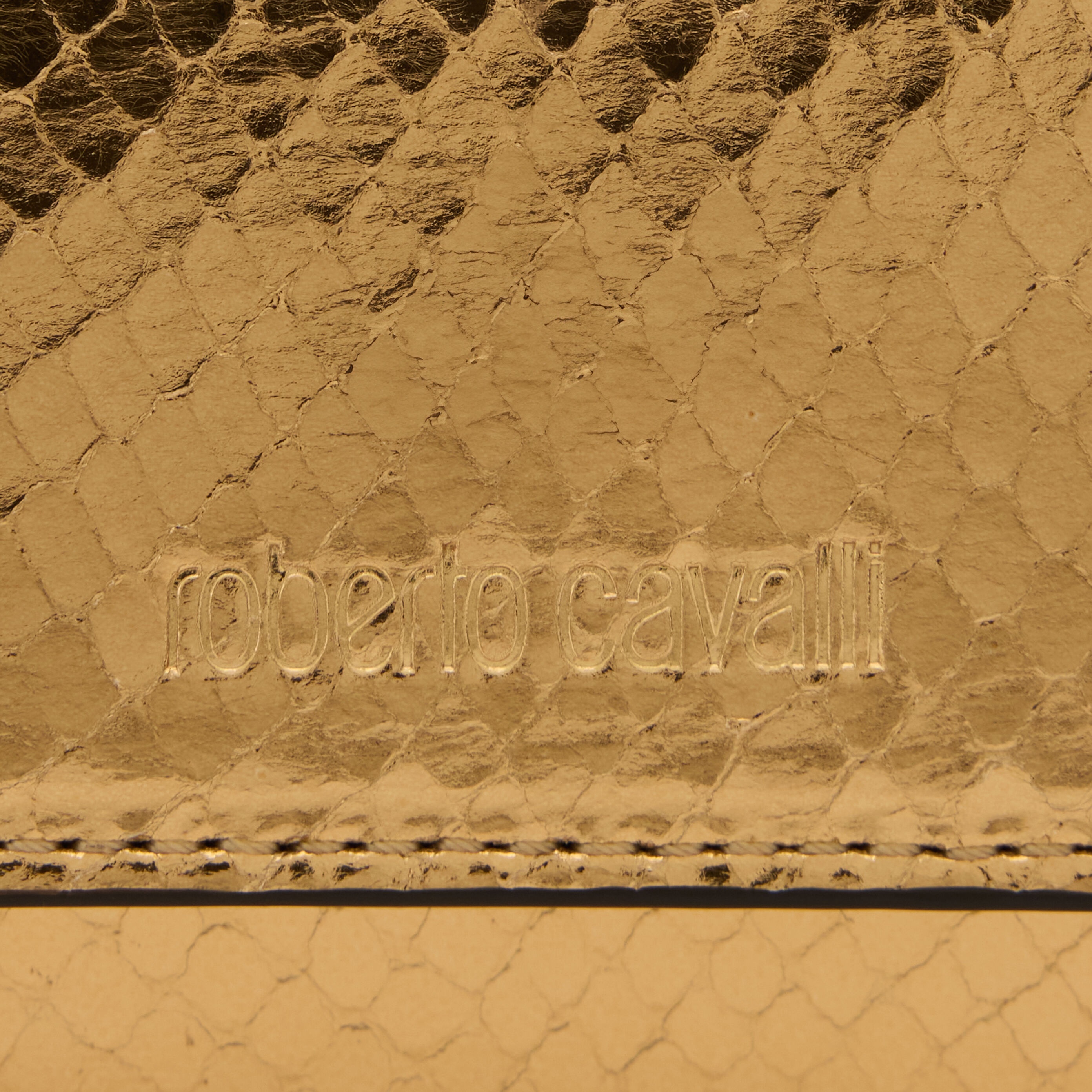 Laminated Card Holder With Snake Print - 3