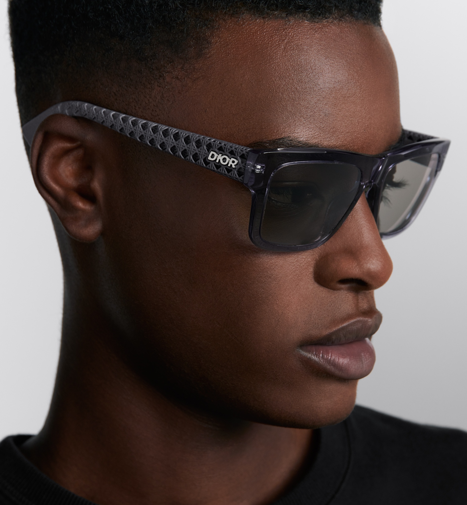 Dior3D S2I - 3