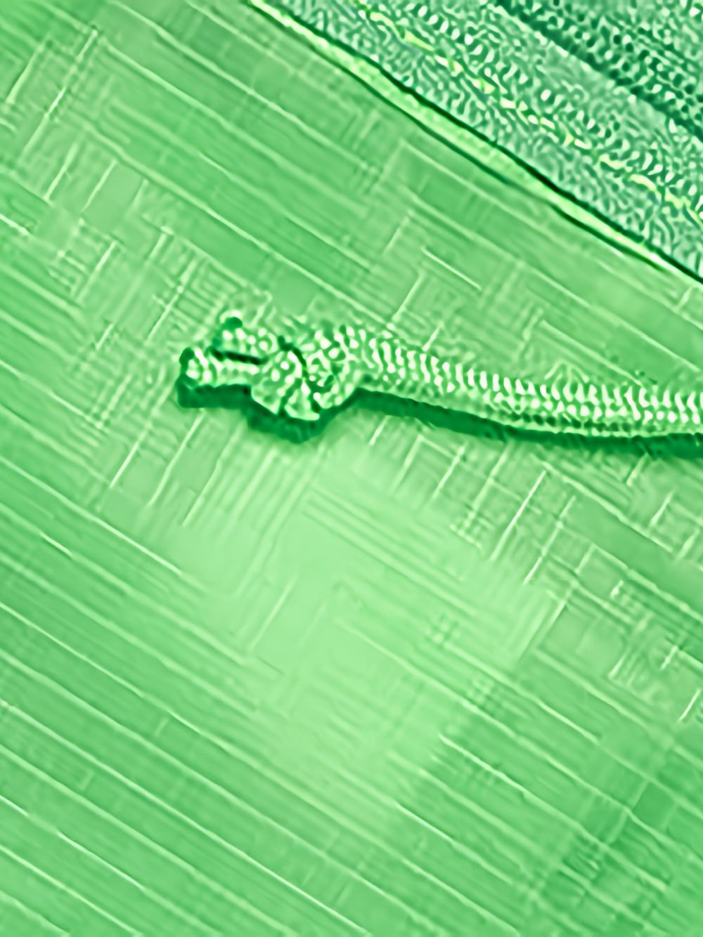 logo-print tote bag - 4