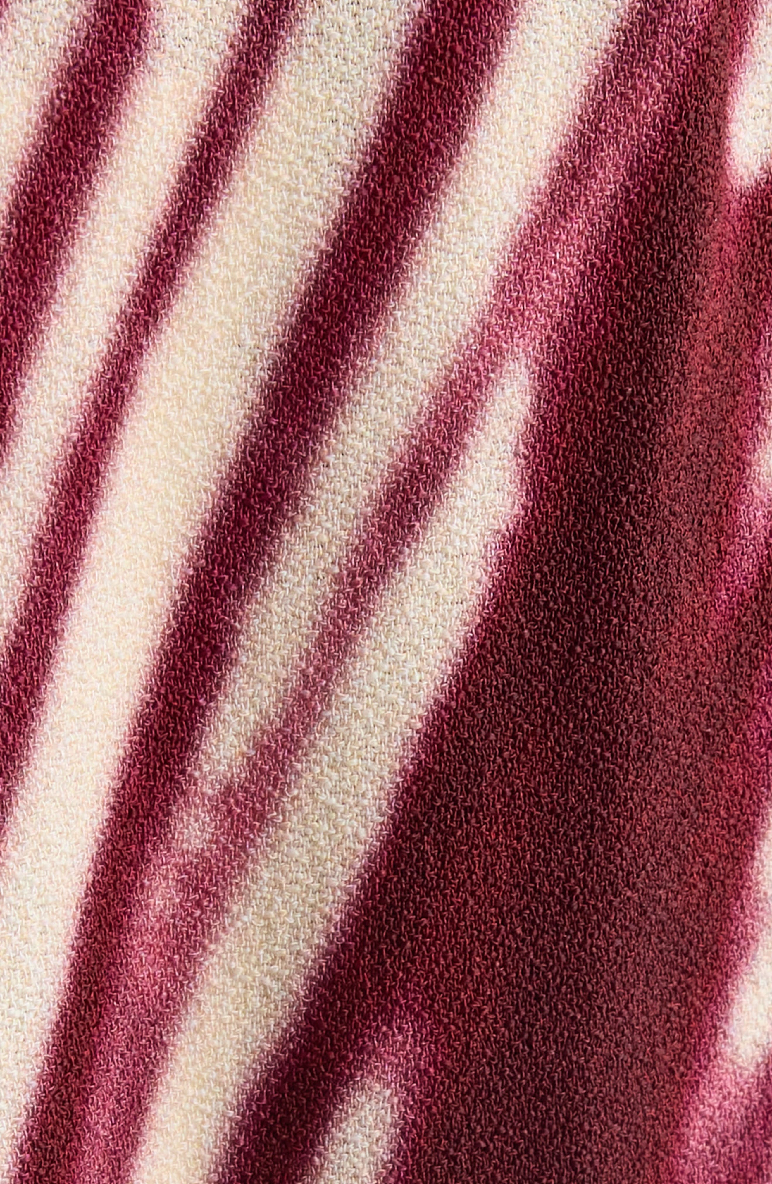 Dries Van Noten Puvis Print Drawstring Pants in Burgundy at Nordstrom - 7
