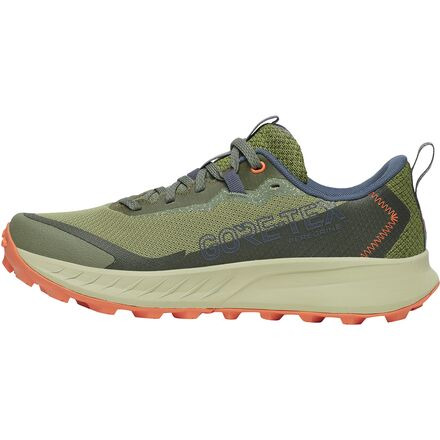 Peregrine 15 GTX Running Shoe - Women's - 6