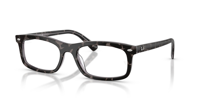 RB5450 OPTICS 1