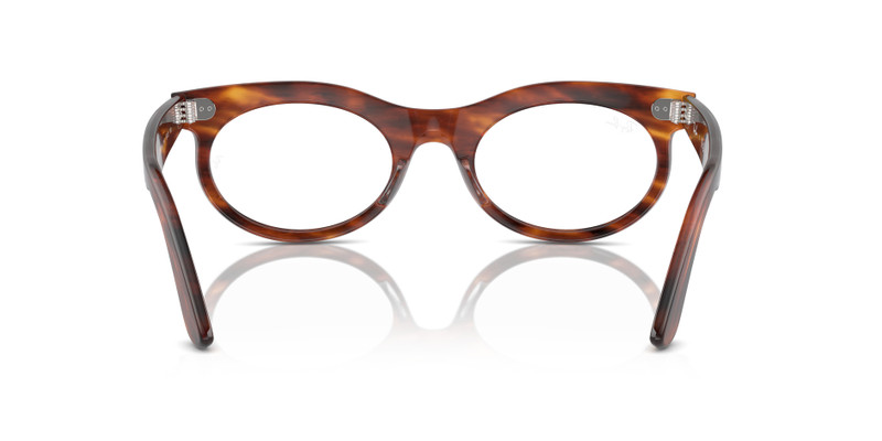 WAYFARER OVAL OPTICS 6