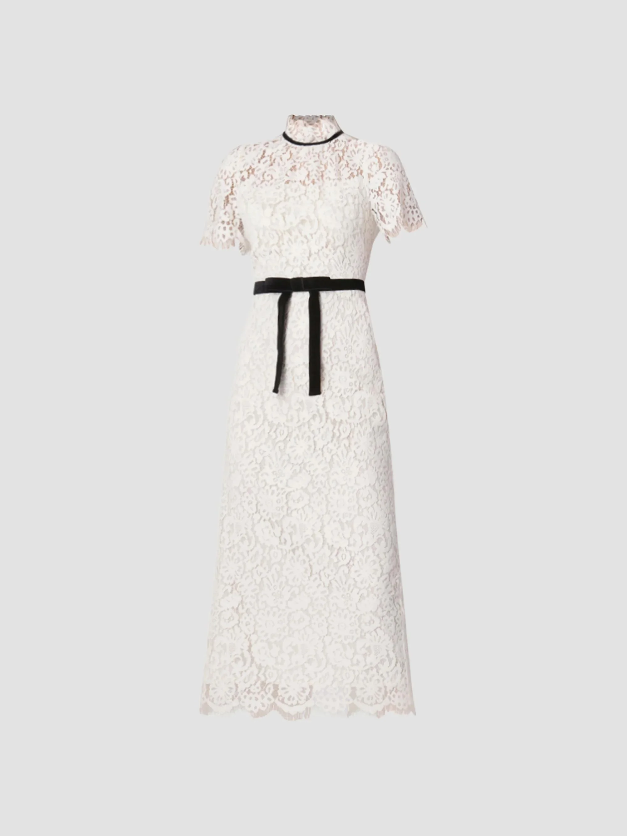 Women's Elyse Lace Velve Ribbon Midi Dress - Ivory - 1
