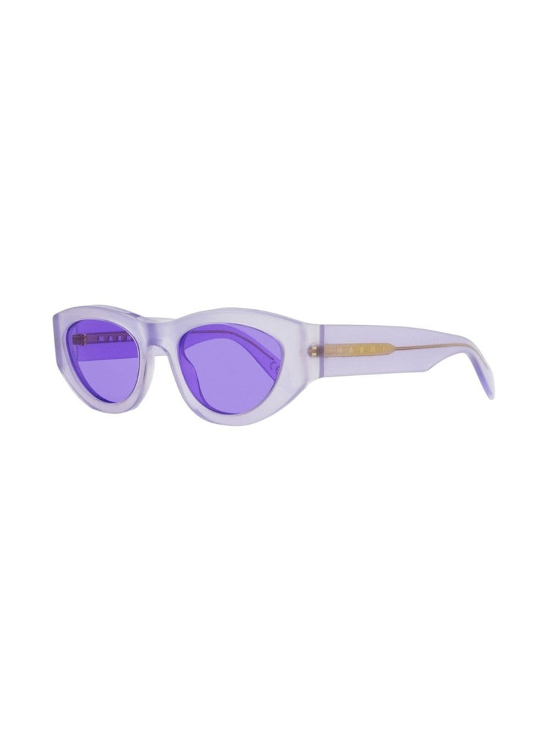 Marni Rainbow Mountains cat-eye sunglasses outlook