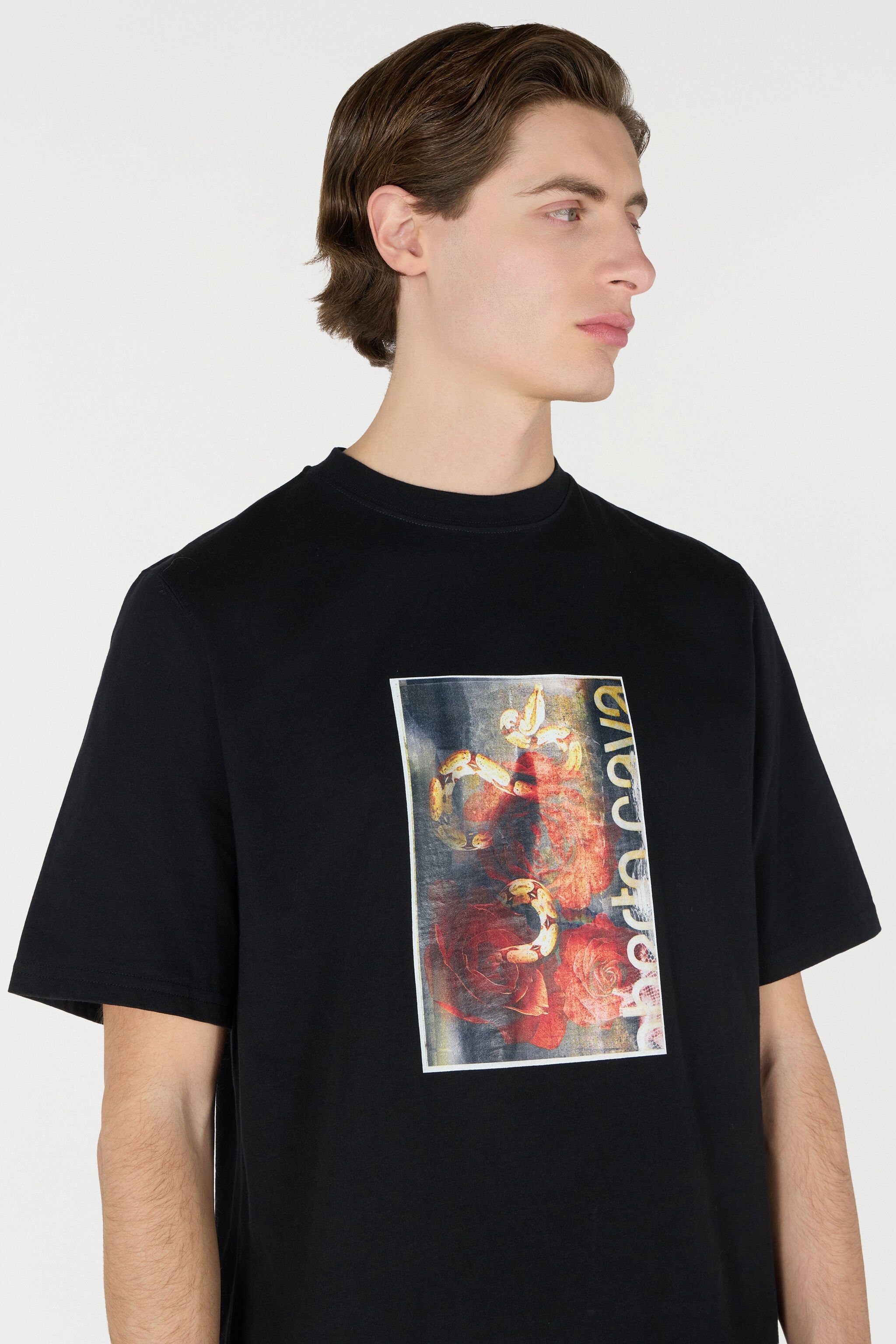 T-Shirt With Distressed-Effect Snake And Rose Print - 5