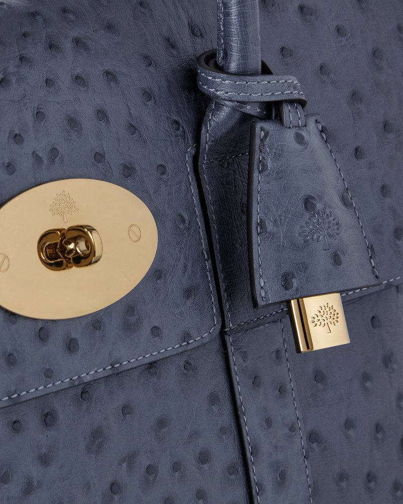 Bayswater Stormy Blue Ostrich 5