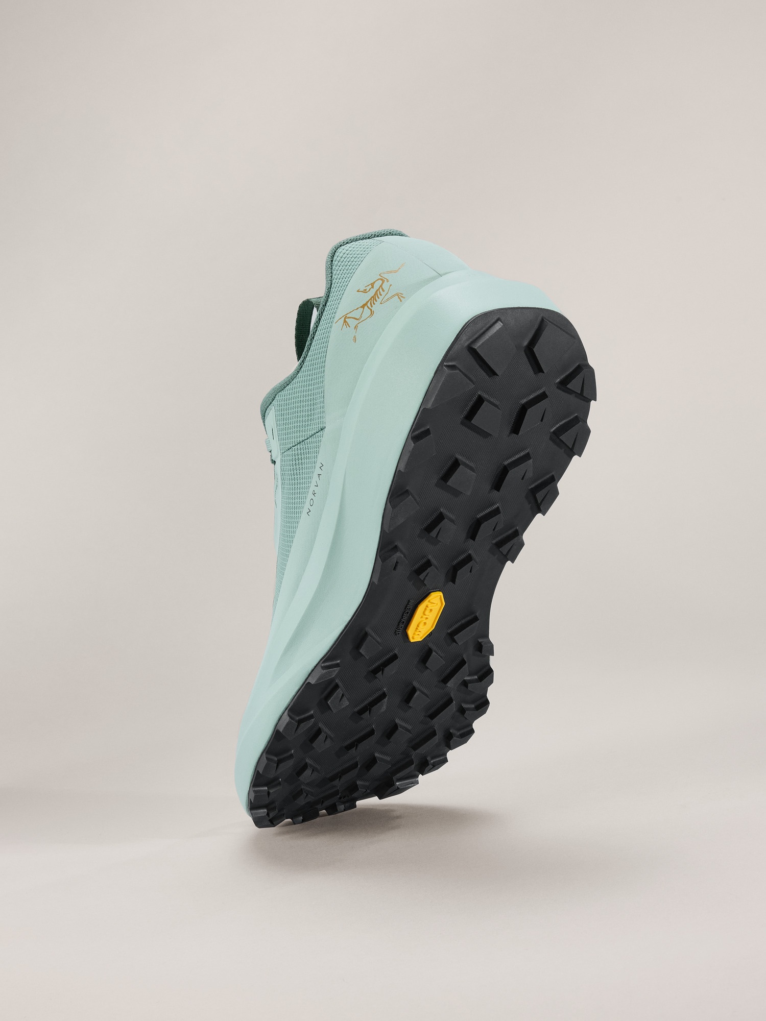 Norvan LD 4 GTX Shoe - 5