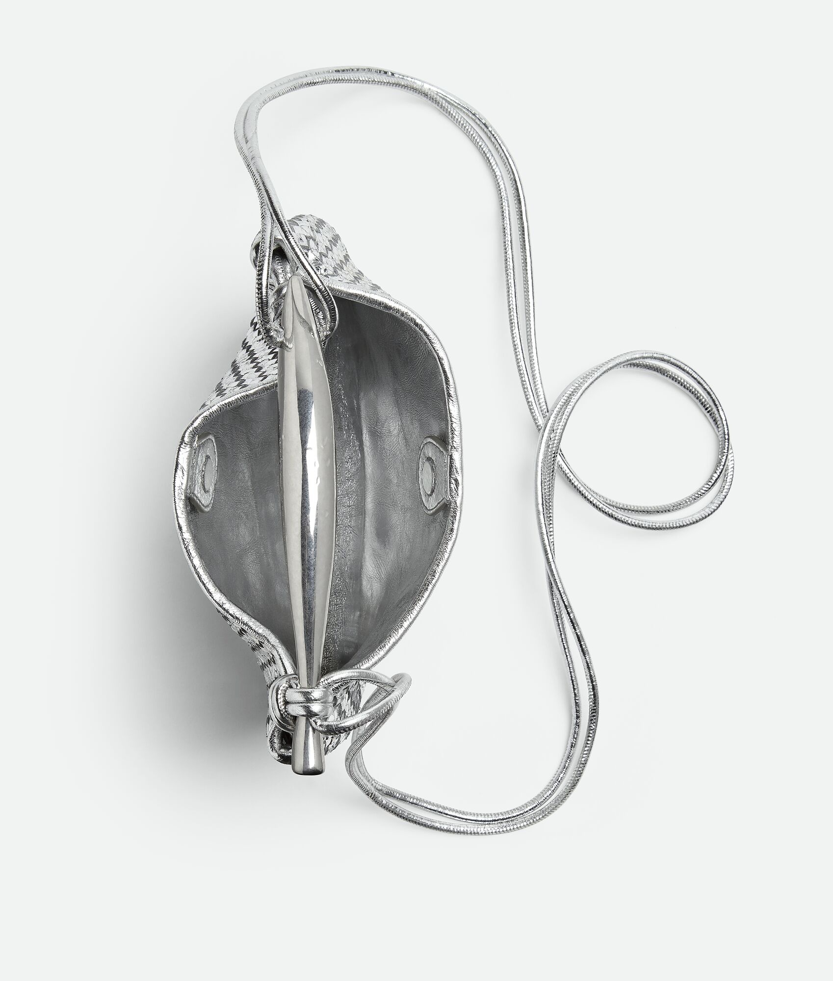 Baby Sardine - 3