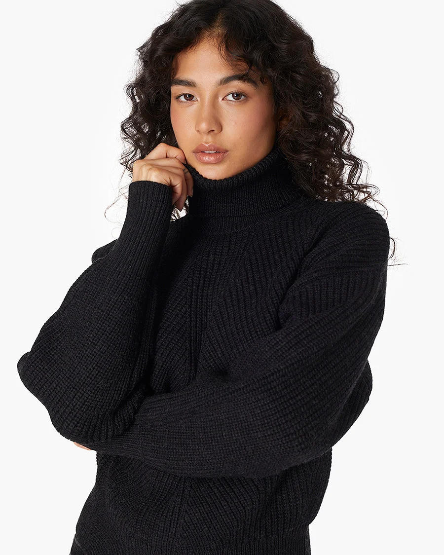 Merino Knit Turtleneck - 1