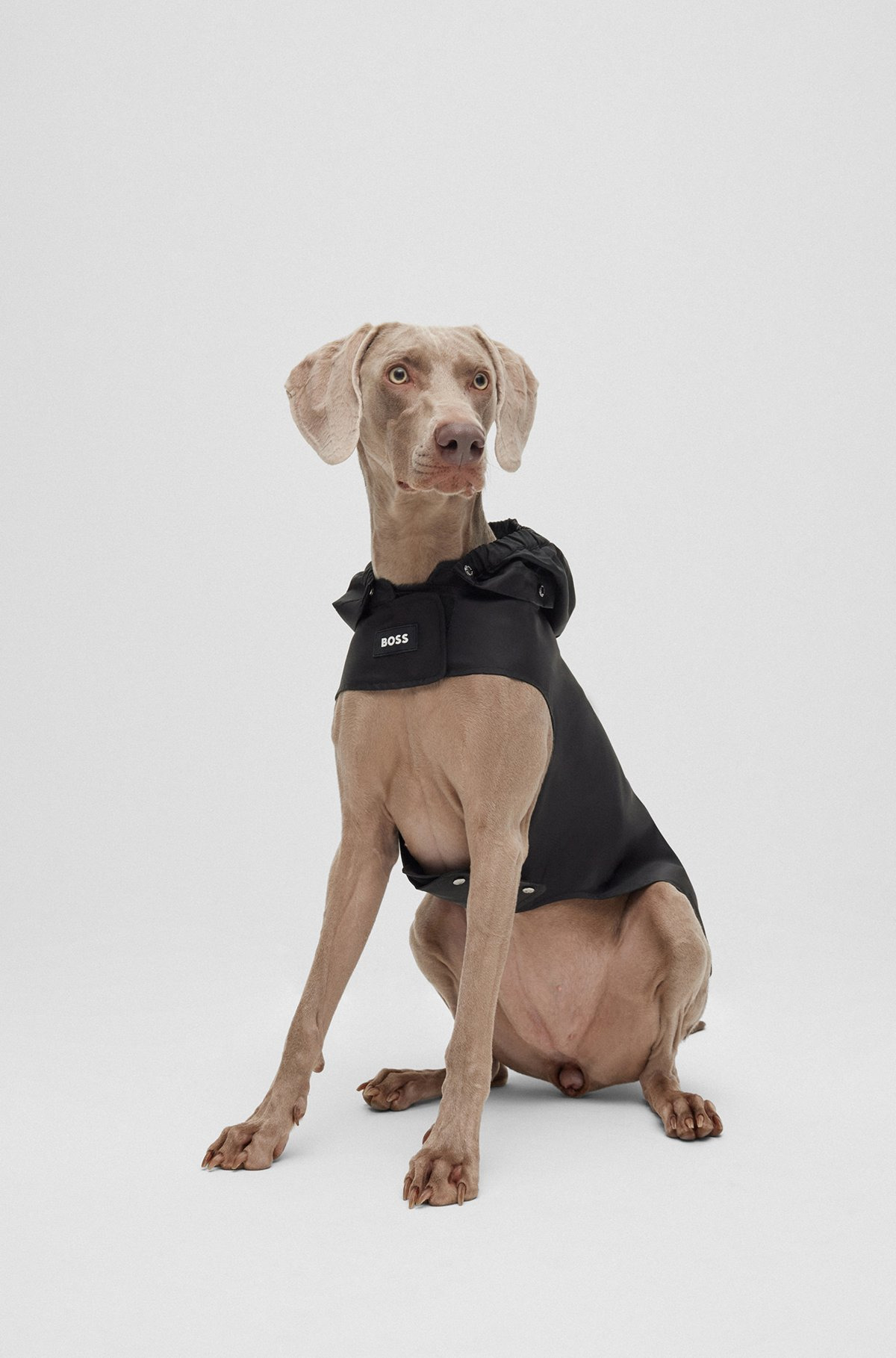 DOG RAINCOAT IN WATERPROOF FABRIC WITH CONTRAST LOGO - 2