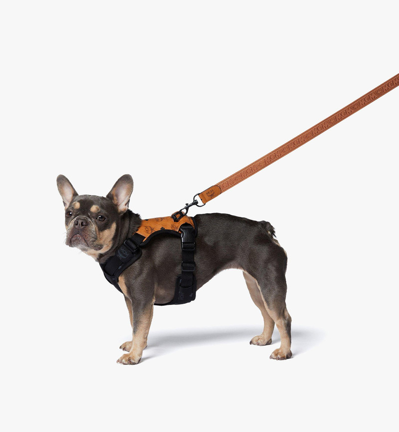 Pet Harness in Visetos 7